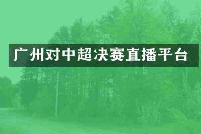 广州对中超决赛直播平台