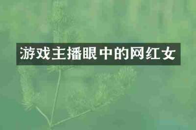 游戏主播眼中的网红女