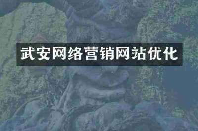 武安网络营销网站优化