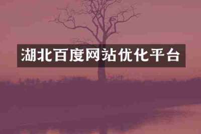 湖北百度网站优化平台