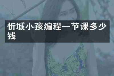 忻城小孩编程一节课多少钱