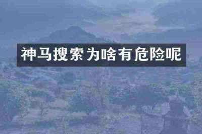 神马搜索为啥有危险呢