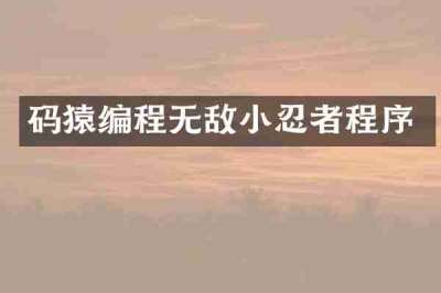 码猿编程无敌小忍者程序
