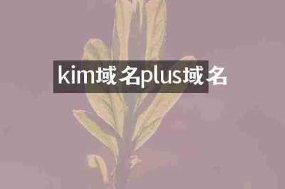 kim域名plus域名