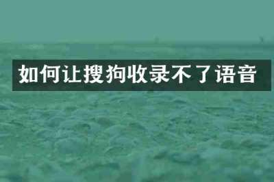如何让搜狗收录不了语音