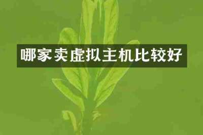 哪家卖虚拟主机比较好