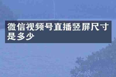 微信视频号直播竖屏尺寸是多少