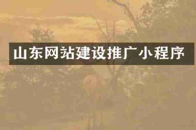 山东网站建设推广小程序