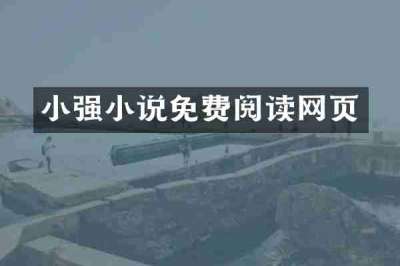 小强小说免费阅读网页