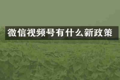 微信视频号有什么新政策