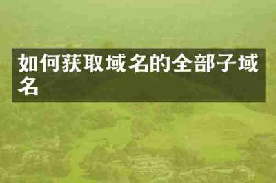 如何获取域名的全部子域名