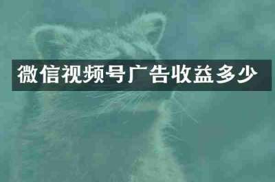 微信视频号广告收益多少
