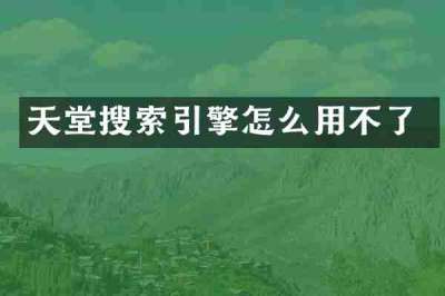 天堂搜索引擎怎么用不了