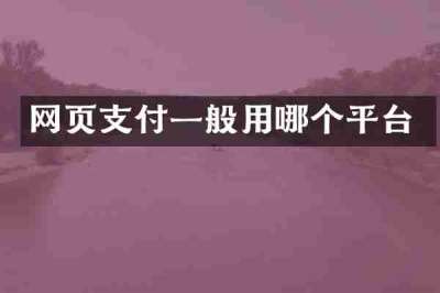 网页支付一般用哪个平台