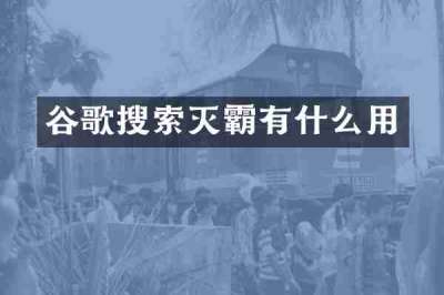 谷歌搜索灭霸有什么用