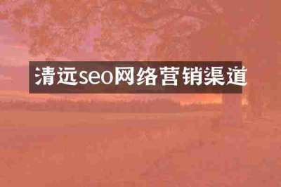 清远seo网络营销渠道