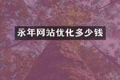 永年网站优化多少钱