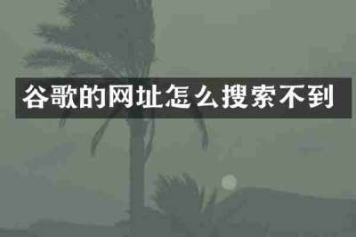 谷歌的网址怎么搜索不到