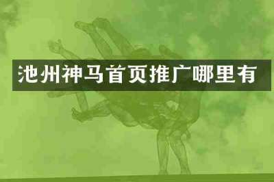 池州神马首页推广哪里有