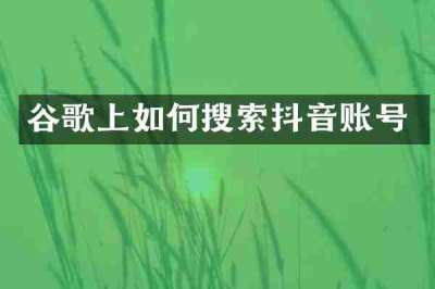 谷歌上如何搜索抖音账号