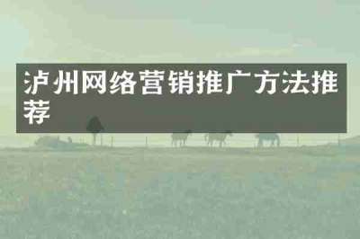泸州网络营销推广方法推荐
