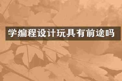 学编程设计玩具有前途吗