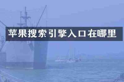 苹果搜索引擎入口在哪里