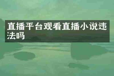 直播平台观看直播小说违法吗