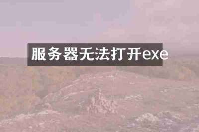 服务器无法打开exe