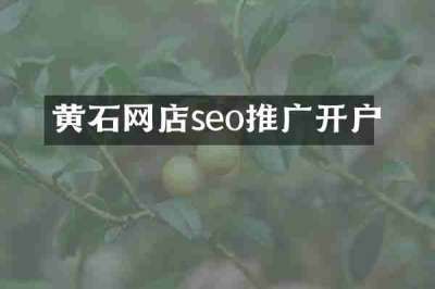 黄石网店seo推广开户
