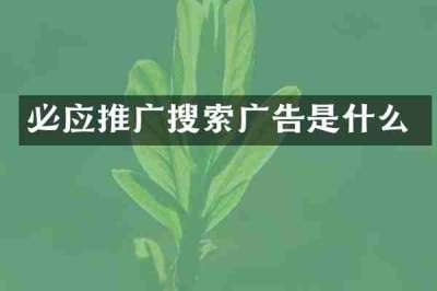 必应推广搜索广告是什么