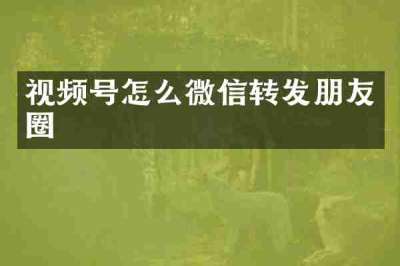 视频号怎么微信转发朋友圈