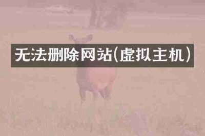 无法删除网站(虚拟主机)