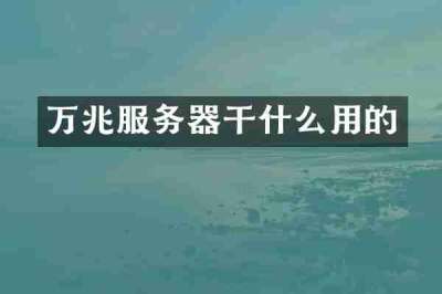 万兆服务器干什么用的