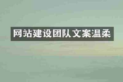 网站建设团队文案温柔