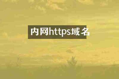 内网https域名