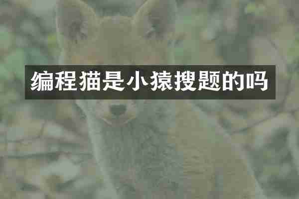 编程猫是小猿搜题的吗