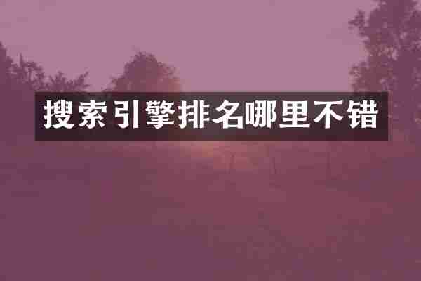 搜索引擎排名哪里不错