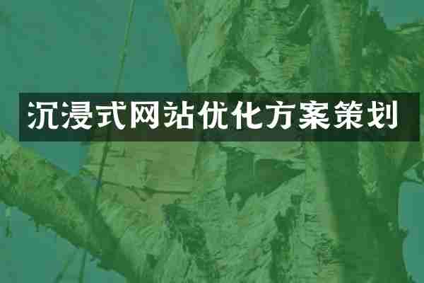 沉浸式网站优化方案策划