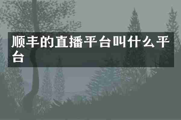 顺丰的直播平台叫什么平台