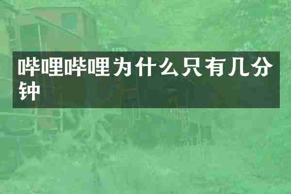 哔哩哔哩为什么只有几分钟