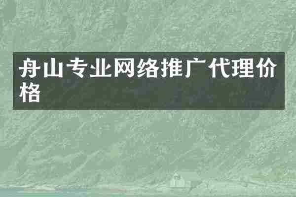 舟山专业网络推广代理价格