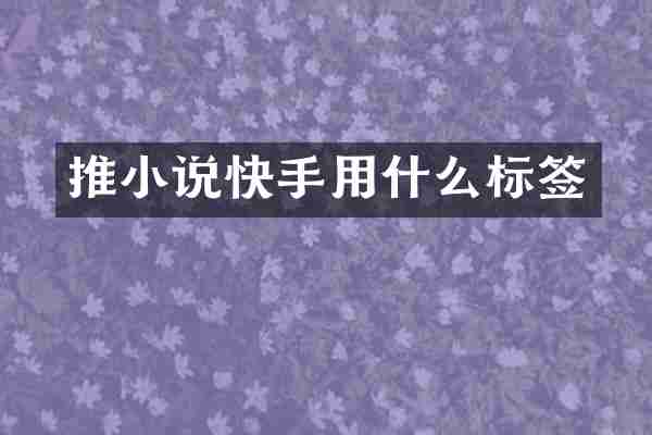 推小说快手用什么标签