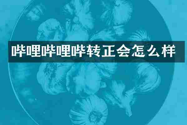 哔哩哔哩哔转正会怎么样