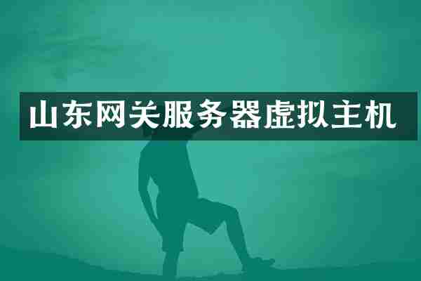 山东网关服务器虚拟主机