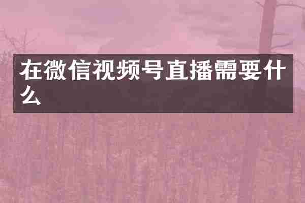在微信视频号直播需要什么