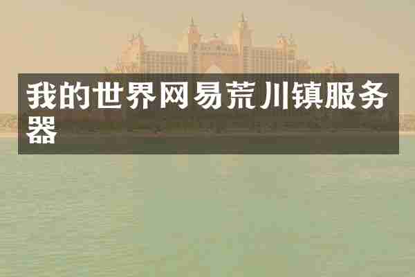 我的世界网易荒川镇服务器