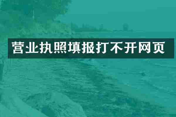 营业执照填报打不开网页