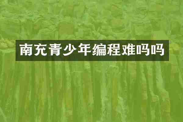 南充青少年编程难吗吗