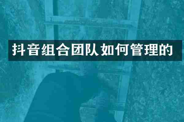 抖音组合团队如何管理的